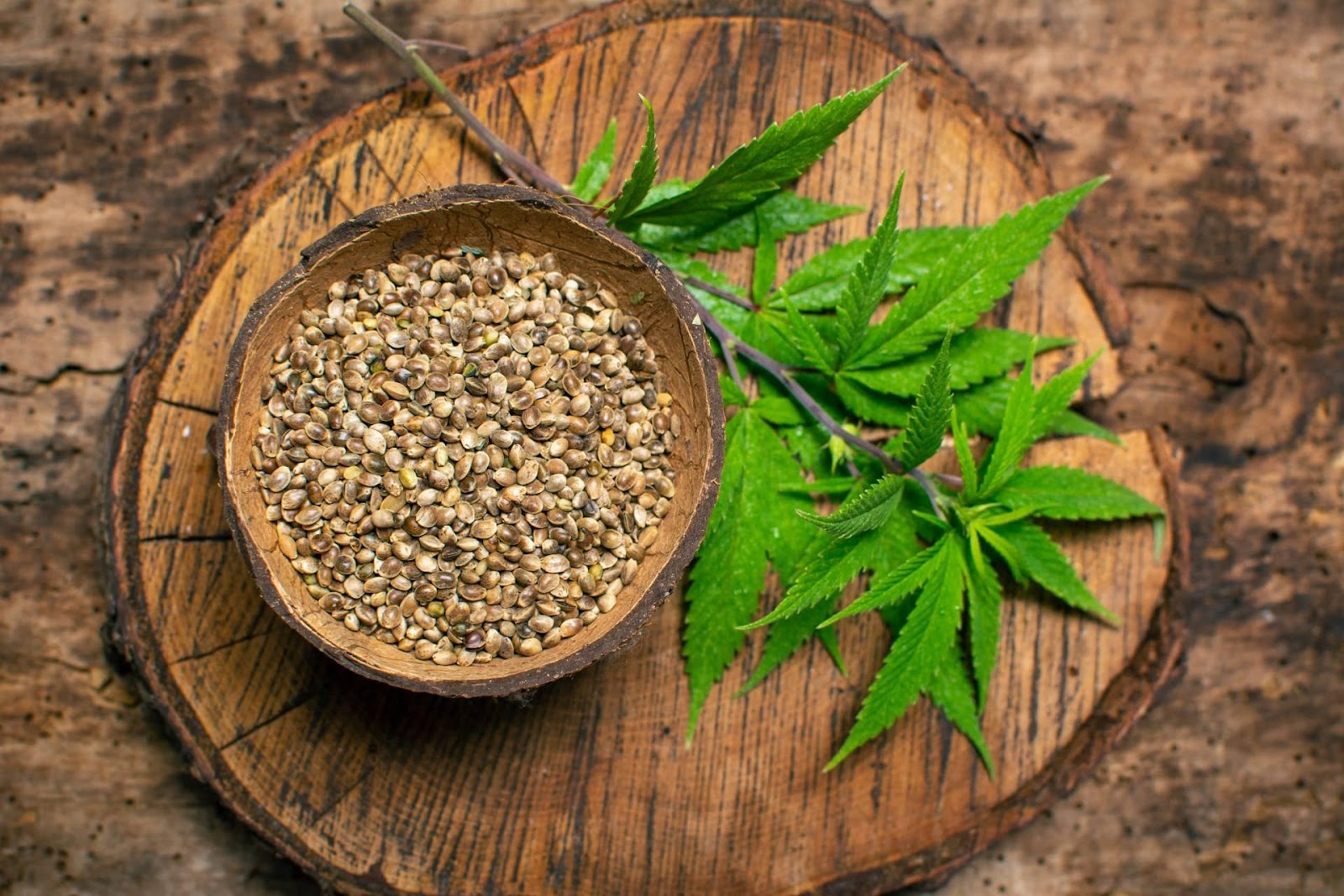 Cannabis seed